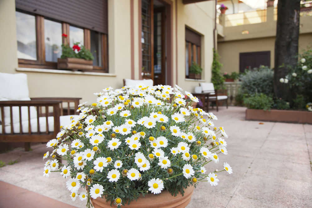 Hotel Giardino Lido di Camaiore Kültér fotó